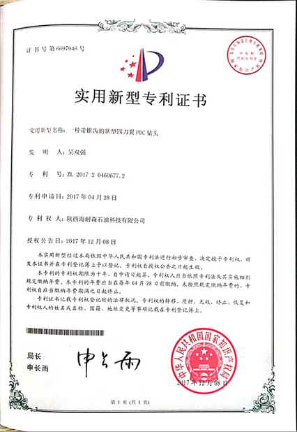 Trung Quốc Shaanxi Hainaisen Petroleum Technology Co.,Ltd Chứng chỉ